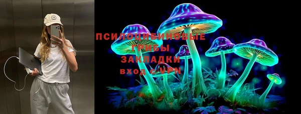 дмт Аркадак